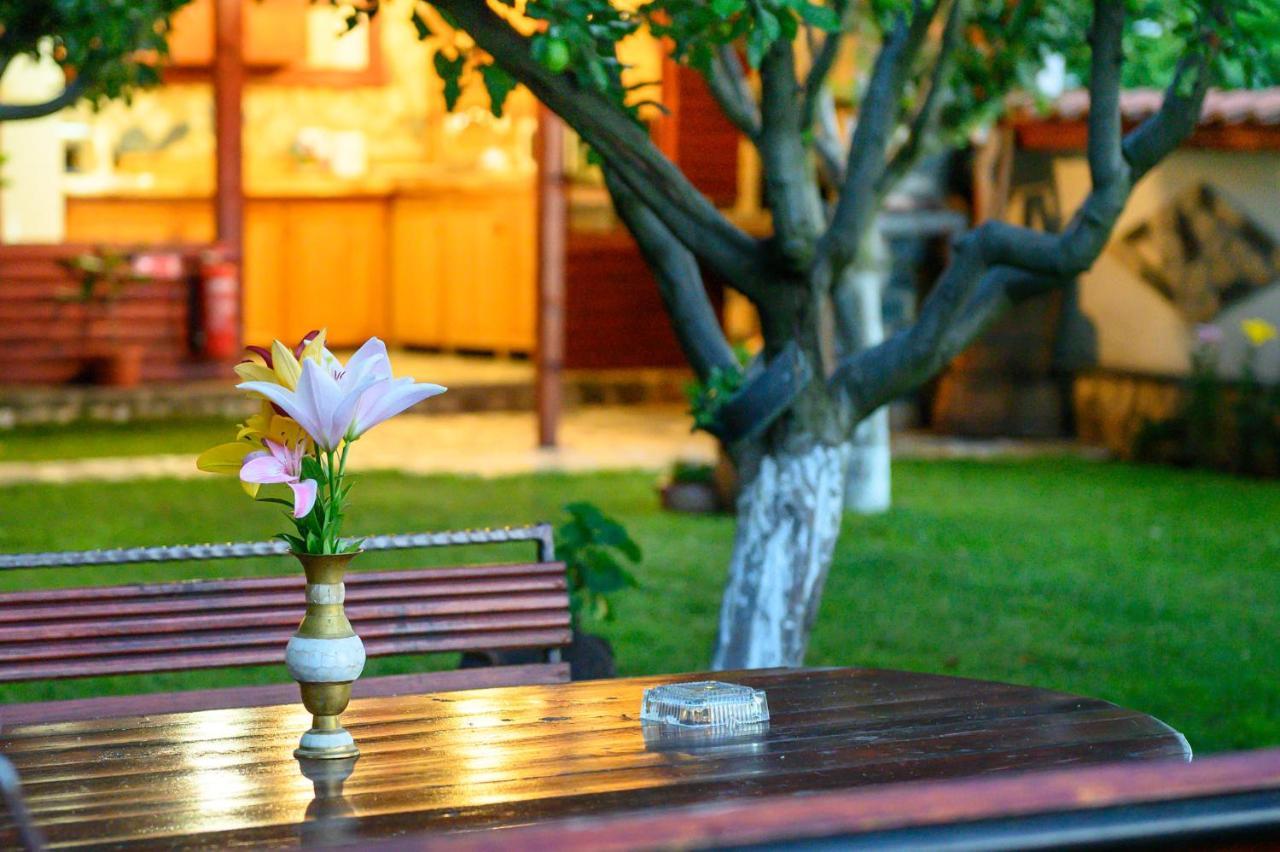 Medi Guest House Sapareva Banya Dış mekan fotoğraf